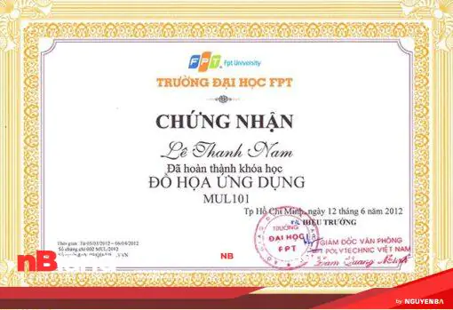 Chứng chỉ - Certificate in chung chi fpt in ngoc huong